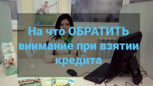 На что обратить внимание при взятии кредита - помощь в оформлении документов